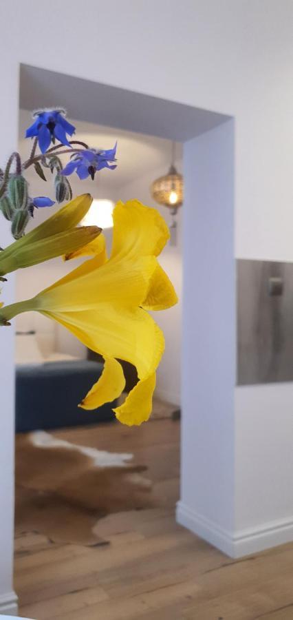 פוזנן Old Town Apartment מראה חיצוני תמונה